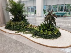 北京海淀辦公室綠植租擺